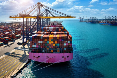 Cargo Damaged in Transit? Inside Colivelo's 14-Day Claims Resolution Promise